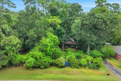 Charming Lake Livingston Retreat on 1.3 Acres - photo 19
