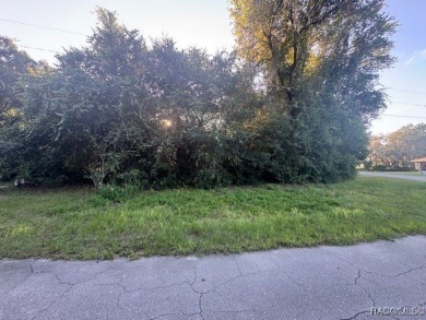 Lake Lot For Sale in Hernando, Florida