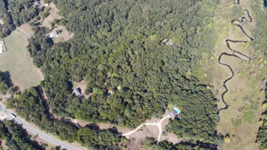 (private lake, pond, creek) Acreage For Sale in Union Michigan