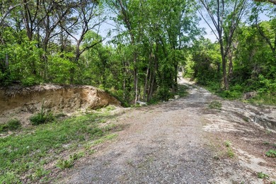 52 Secluded Wooded Acres in Cedar Hill - Bordering Dogwood - photo 12