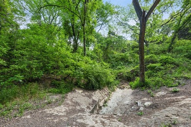 52 Secluded Wooded Acres in Cedar Hill - Bordering Dogwood - photo 14