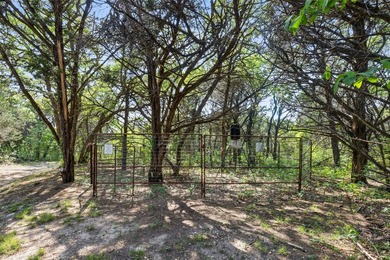 52 Secluded Wooded Acres in Cedar Hill - Bordering Dogwood - photo 17