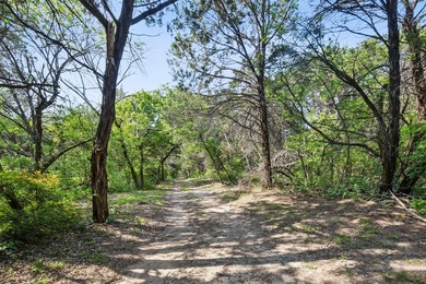 52 Secluded Wooded Acres in Cedar Hill - Bordering Dogwood - photo 18