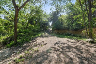 52 Secluded Wooded Acres in Cedar Hill - Bordering Dogwood - photo 19
