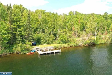 Lake Acreage For Sale in Ely, Minnesota