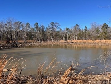 (private lake, pond, creek) Acreage For Sale in Mountain View Arkansas