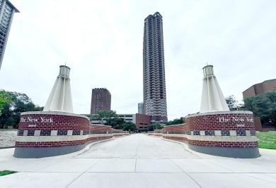 Lake Lot For Sale in Chicago, Illinois