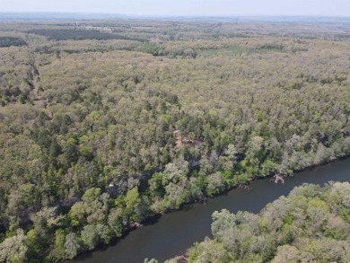 Discover 9.5 acres +/- of scenic recreational timberland with - photo 15