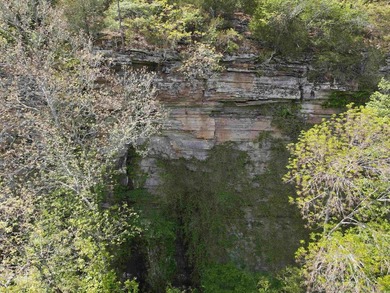 Discover 9.5 acres +/- of scenic recreational timberland with - photo 18