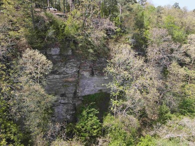Discover 9.5 acres +/- of scenic recreational timberland with - photo 19