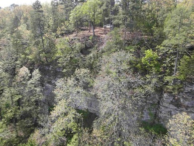 Discover 9.5 acres +/- of scenic recreational timberland with - photo 20