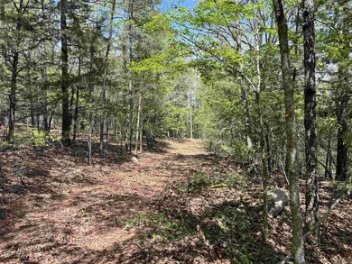 Discover 9.5 acres +/- of scenic recreational timberland with - photo 21