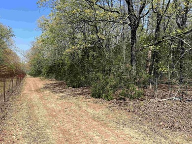 Discover 9.5 acres +/- of scenic recreational timberland with - photo 22