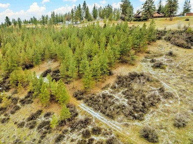 Enjoy million-dollar views & the peace of acreage living, with 4 - photo 42