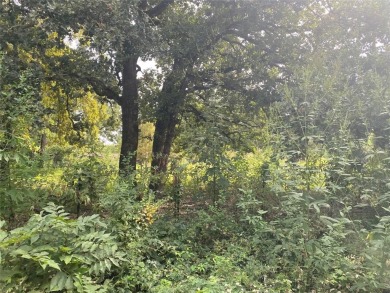 Lake Lot For Sale in Kemp, Texas