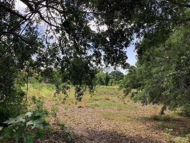 Buenaventura Lakes Area Acreage Sale Pending in Kissimmee Florida