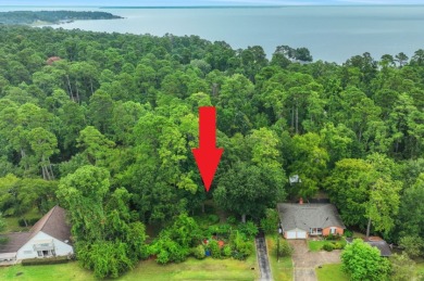 Charming Lake Livingston Retreat on 1.3 Acres - photo 20