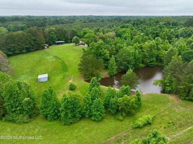 Escape to your own private paradise with stunning retreat set on - photo 10