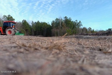 (private lake, pond, coastal) Lot Sale Pending in Grimesland North Carolina