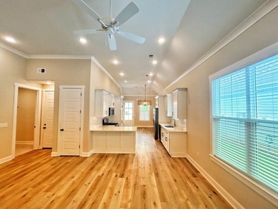 ONE LEVEL. MAPLE PLAN. This 2023 build has tons of upgrades - photo 9