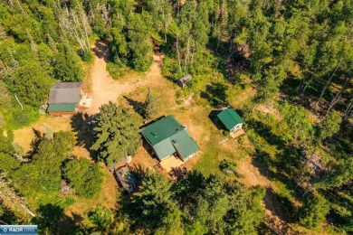 Lake Home For Sale in Babbitt, Minnesota