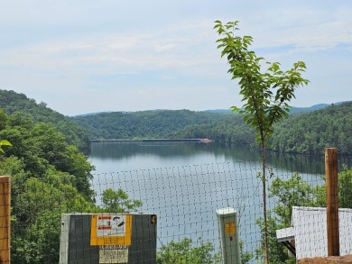 Lake Lot For Sale in Murphy, North Carolina