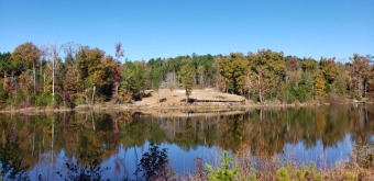 Lake Lot For Sale in Iva, South Carolina