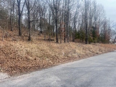 Table Rock Lake Lot For Sale in  Missouri