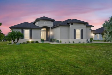 (private lake, pond, coastal) Home For Sale in Wimauma Florida