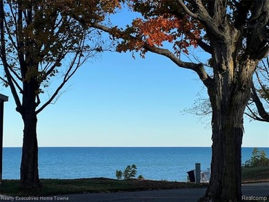 Lake Huron - Sanilac County Home For Sale in Lexington Michigan