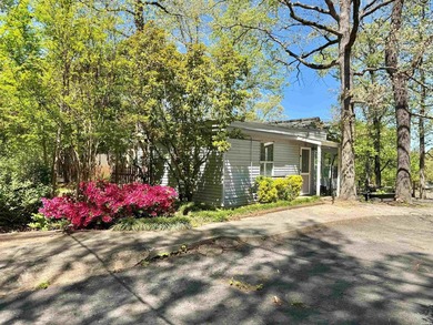 Two lake houses on one lot, right in the heart of Hot Springs - photo 14