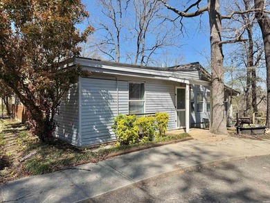 Two lake houses on one lot, right in the heart of Hot Springs - photo 15