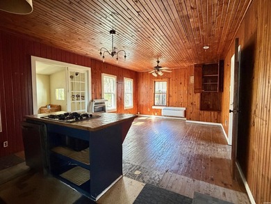Two lake houses on one lot, right in the heart of Hot Springs - photo 17
