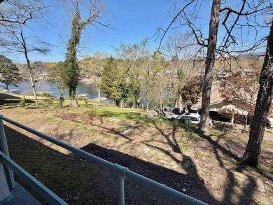 Two lake houses on one lot, right in the heart of Hot Springs - photo 22
