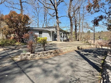 Two lake houses on one lot, right in the heart of Hot Springs - photo 23