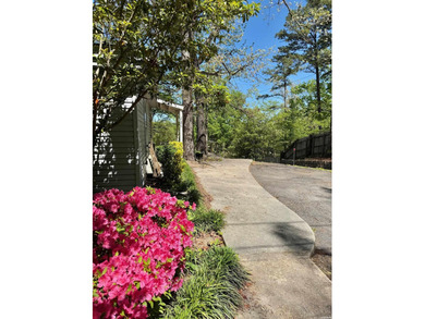 Two lake houses on one lot, right in the heart of Hot Springs - photo 27