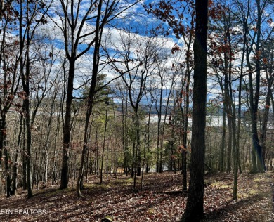 Cherokee Lake Lot For Sale in Mooresburg Tennessee