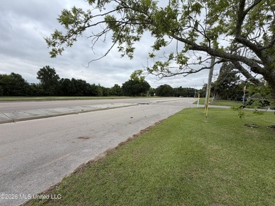 Cleared corner lot in Biloxi, just minutes from casinos, beaches - photo 3