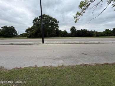 Cleared corner lot in Biloxi, just minutes from casinos, beaches - photo 4