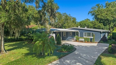 (private lake, pond, creek) Home For Sale in Orlando Florida