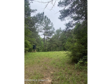 **Secluded Hardwood Haven in Amite County, Mississippi!** Escape - photo 3