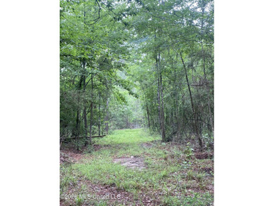 **Secluded Hardwood Haven in Amite County, Mississippi!** Escape - photo 4