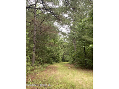 **Secluded Hardwood Haven in Amite County, Mississippi!** Escape - photo 5