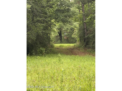 **Secluded Hardwood Haven in Amite County, Mississippi!** Escape - photo 6