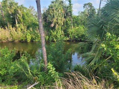 Beautiful lot on freshwater Gator Slough Canal. Lots of new - photo 2