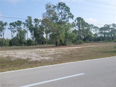 Beautiful lot on freshwater Gator Slough Canal. Lots of new - photo 3