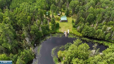 Looking for privacy, look no further. This 40-acre boat/ATV - photo 8