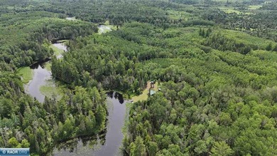 Looking for privacy, look no further. This 40-acre boat/ATV - photo 10