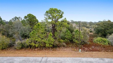 Lake Marion - Polk County Lot Sale Pending in Poinciana Florida