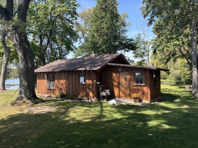 Sturgeon Lake Home For Sale in Colon Michigan